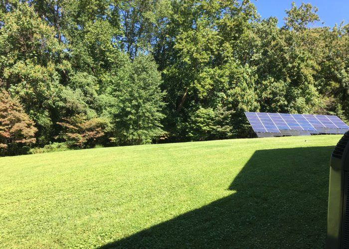 Grassy meadows surrounded by mature trees