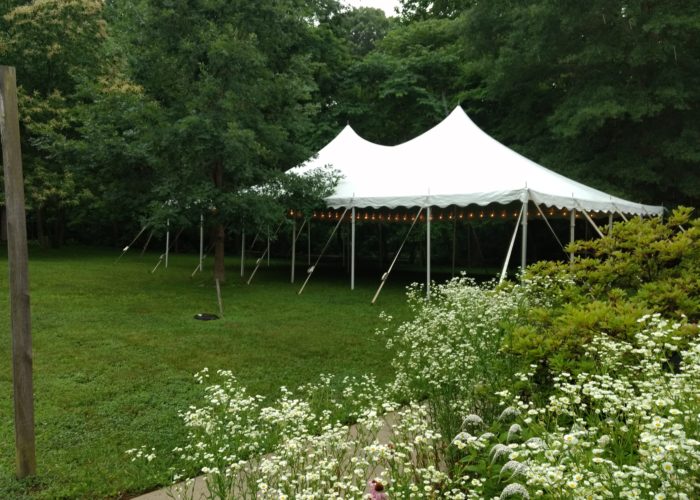 Perfect for summer parties